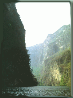 sumidero3.gif (20861 bytes)